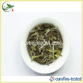 Té blanco imperial envejecido natural de la peonía blanca